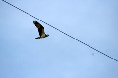 Killikus&reg; Fotographie